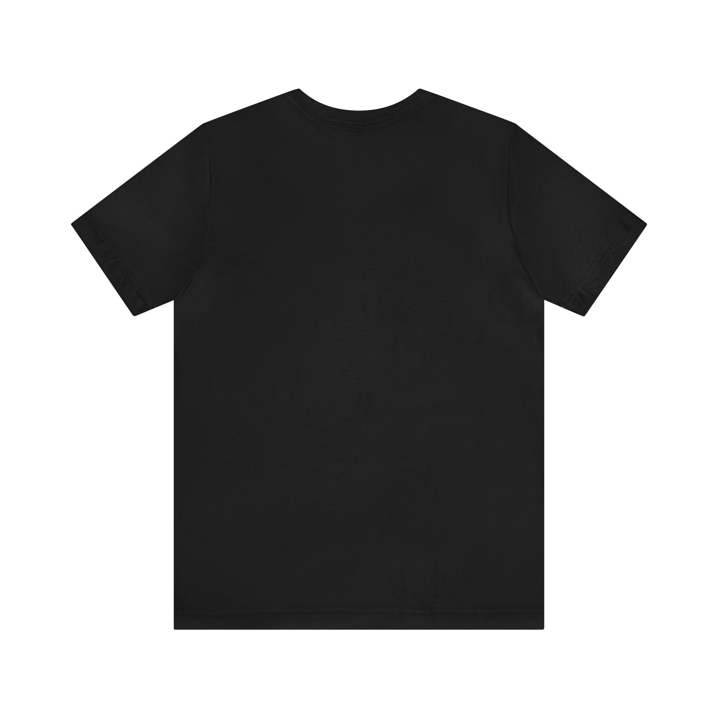 Graphic T-shirt, Tee, Chicago House, Dance Music, Disco, House Music, DJ, Vinyl, House Heads, EDM, Music Lovers Gift, Paradise Garage