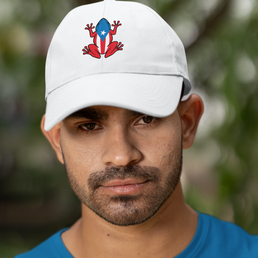 Embroidered Puerto Rican Flag Coqui Frog Classic Dad Cap, Baseball Hat, Puerto Rican Pride Baseball Cap, Coqui Frog Puerto Rican Flag Hat,