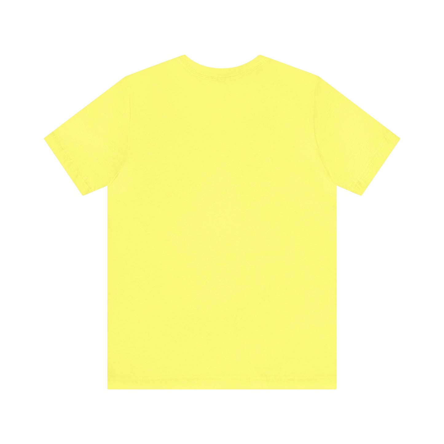 Graphic T-shirt, Tee, Chicago House, Dance Music, Disco, House Music, DJ, Vinyl, House Heads, EDM, Music Lovers Gift, Paradise Garage