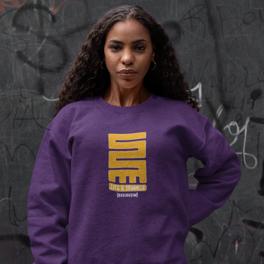 Unisex Sweatshirt Adinkra Symbol shirts with West African Ghanaian symbols, Afrocentric cotton blend shirts, History Matters, HBCU Campus