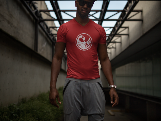 Graphic Tee, Sankofa Symbol | African Adinkra Print Shirt | Colorful V-neck t-shirt | Simple Design Tshirt, Cotton shirt | Ghanaian Symbols