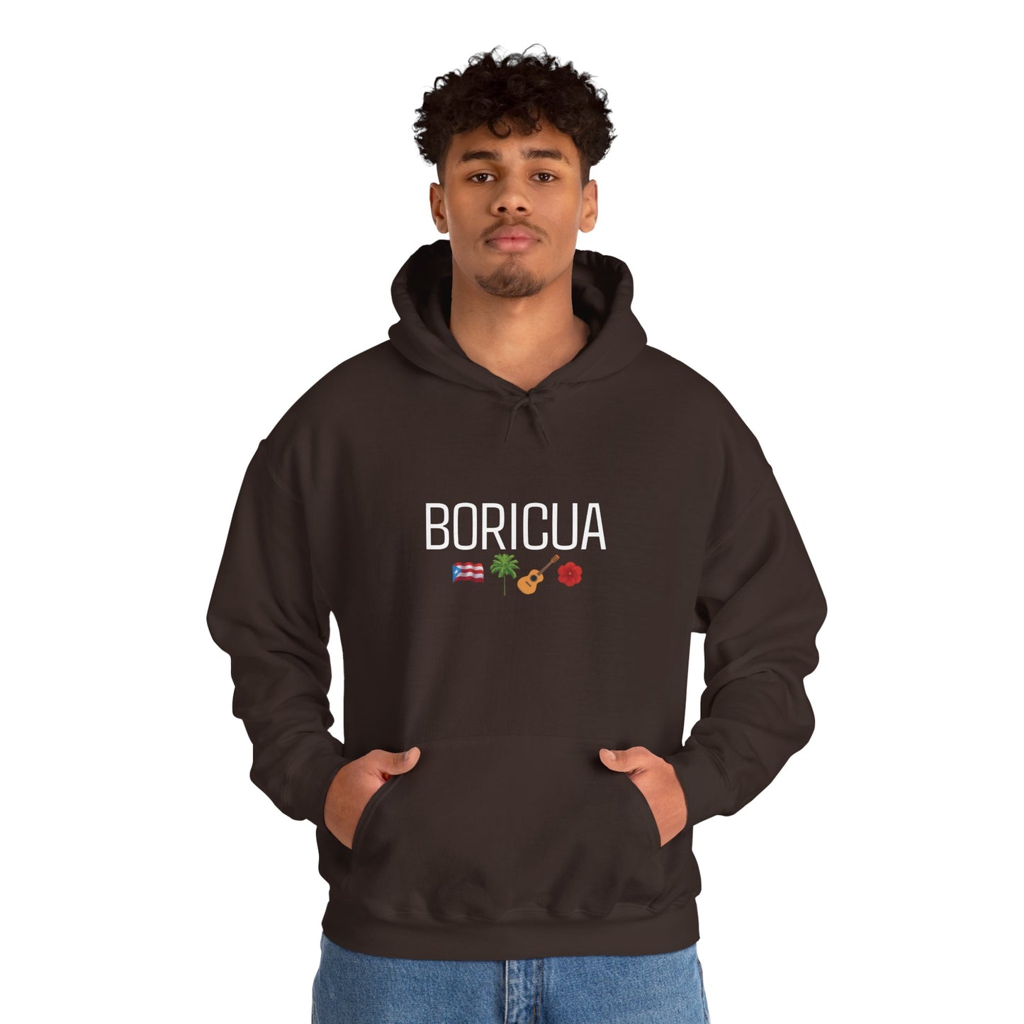 Boricua Puerto Rican Hoodie | Unisex Sweatshirt with Iconic Symbols | Island Pride Pullover Top | Fall Winter Sweater | Puerto Rican Shirt,